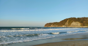 逗子に移住して美容室を開業した理由とリアルな体験ストーリー